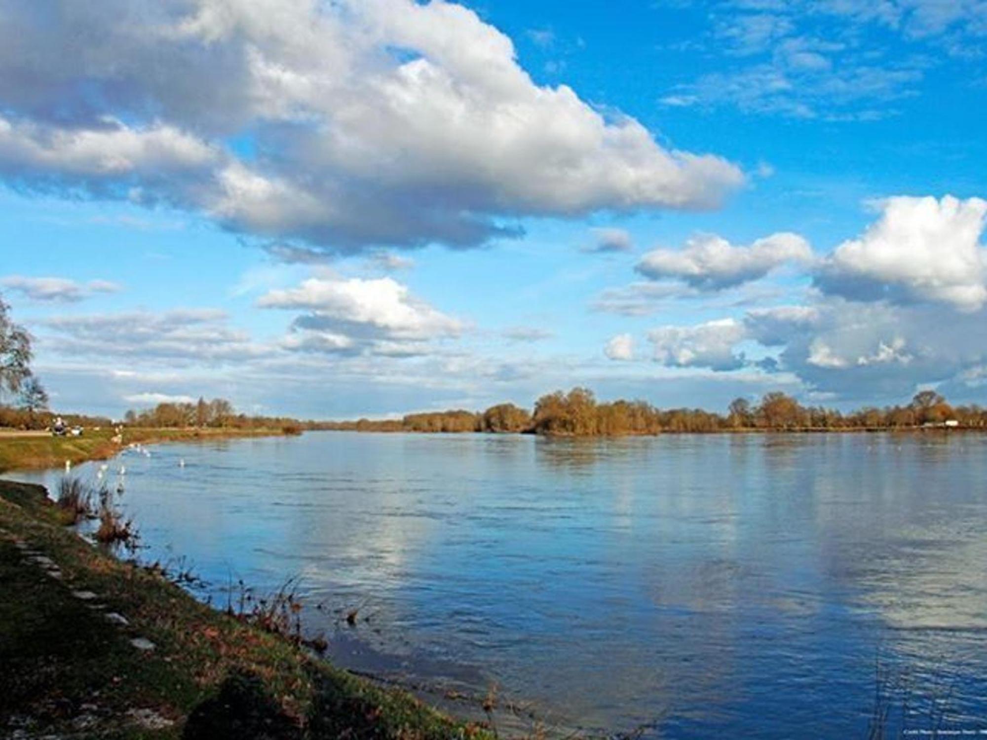 Charme Au Coeur Des Chateaux De La Loire Avec Wifi - Fr-1-590-305 Bed & Breakfast Tavers Dış mekan fotoğraf