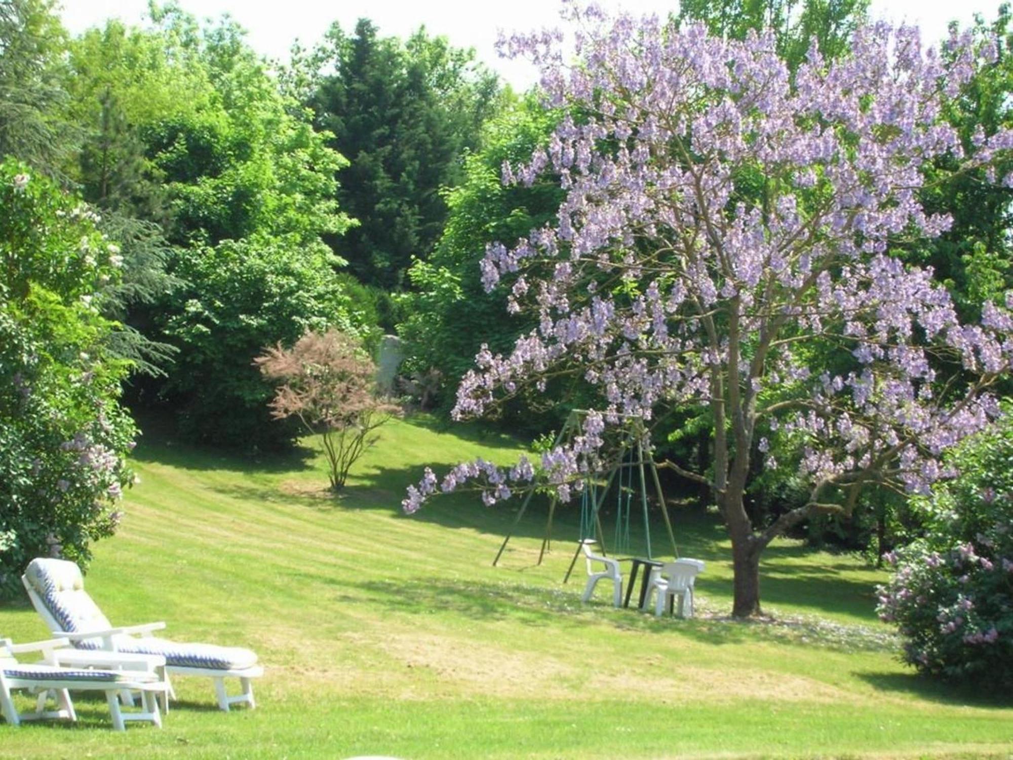 Charme Au Coeur Des Chateaux De La Loire Avec Wifi - Fr-1-590-305 Bed & Breakfast Tavers Dış mekan fotoğraf